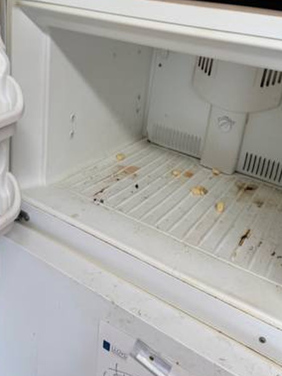 Refrigerator before deep cleaning
