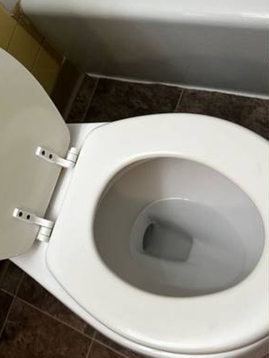 Toilet after deep cleaning
